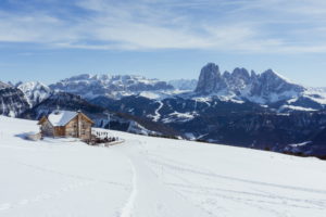 Ciaspolata Alpe Rasciesa e Plose